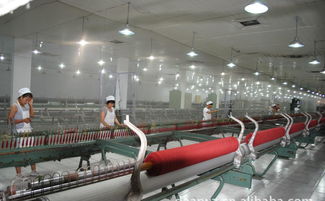 高档精品时尚品牌羊绒衫诚招代理加盟，厂家直供，优价共赢